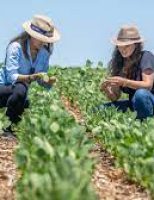 Projeto doa mais de 2 mil quilos de alimentos produzidos basicamente por mulheres rurais