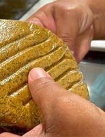 É possivel criar alimento similar ao hamburger usando plantas