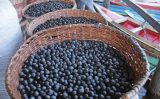 Pela primeira vez cientistas descobrem o genoma do açaí