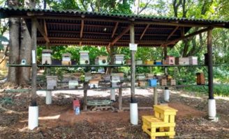 Agricultores familiares querem mais conhecimento sobre os polinizadores na produção de alimentos