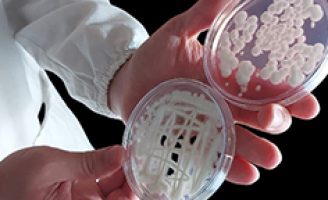 A Lei do Bioinsumo ajuda a produção agrícola brasileira