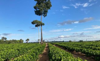 Boas informações sobre o campo e áreas produtivas facilitam a avaliação de créditos rurais e planejamento agrícola