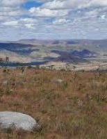 IA revela a impressionante quantidade de terras abandonadas no cerrado brasileiro