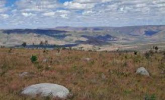 IA revela a impressionante quantidade de terras abandonadas no cerrado brasileiro