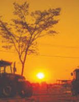 Uma pesquisa identifica o crescimento das ondas de calor que prejudicam a produção agrícola em várias regiões brasileiras