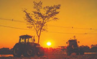 Uma pesquisa identifica o crescimento das ondas de calor que prejudicam a produção agrícola em várias regiões brasileiras