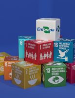 Os interessados já podem se inscrever para participar da Conferência dos Objetivos de Desenvolvimento Sustentável
