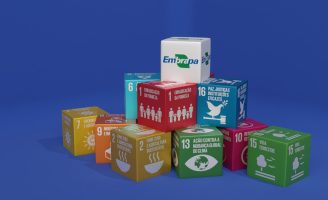 Os interessados já podem se inscrever para participar da Conferência dos Objetivos de Desenvolvimento Sustentável