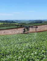 Mulheres do agro de Pernambuco vão poder fazer curso para operar drones no campo
