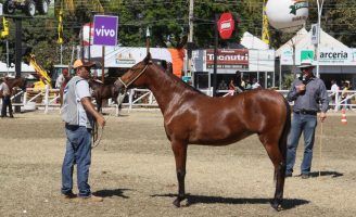 Norte de Minas Gerais se prepara para uma das maiores feiras do agronegócio do Estado