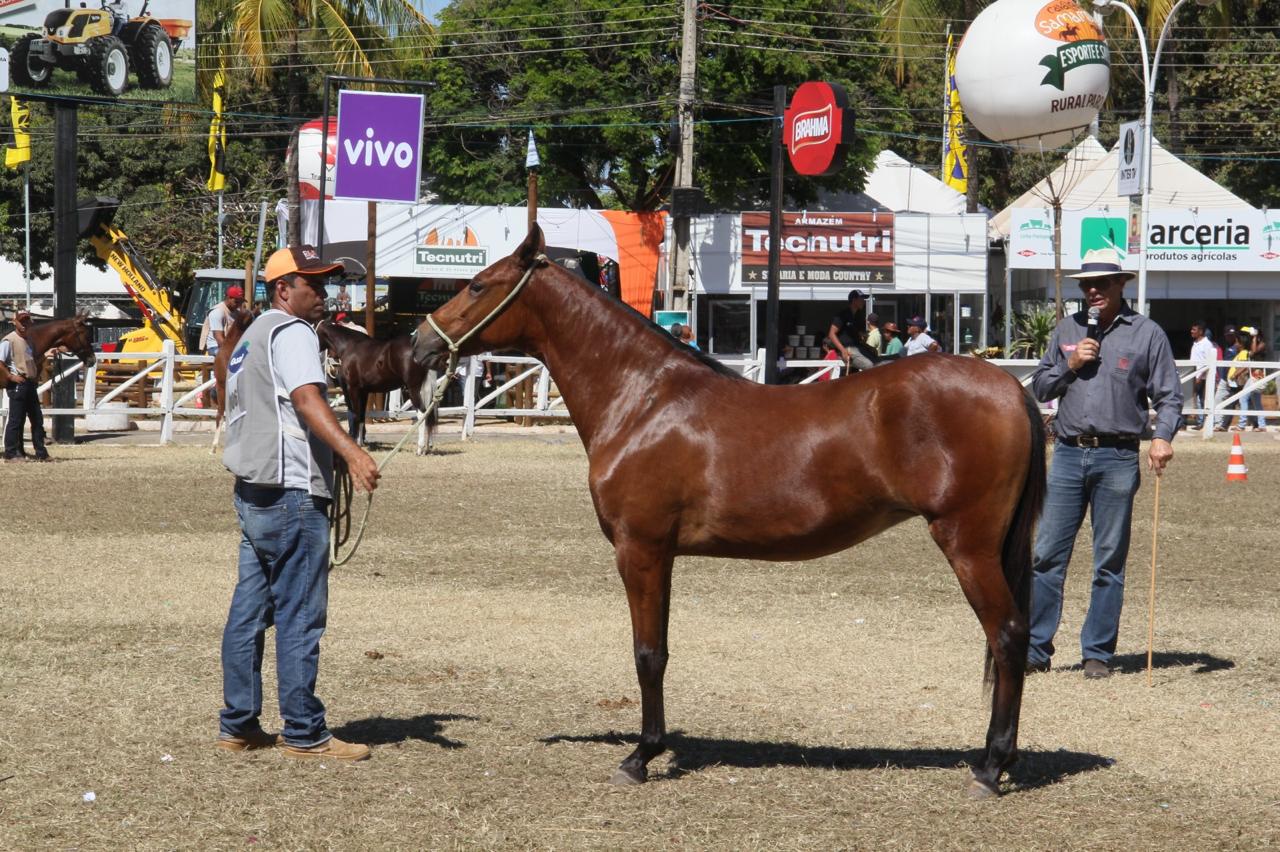 Norte de Minas Gerais se prepara para uma das maiores feiras do agronegócio do Estado