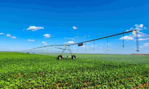 Estudo confirma: uso de irrigação no agro gera mais emprego e melhor renda