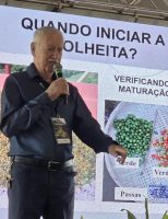Especialista orienta como produzir café de qualidade