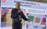 Especialista orienta como produzir café de qualidade