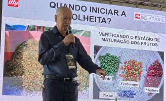 Especialista orienta como produzir café de qualidade
