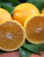 Queda na produção de laranja no cinturão citrícola de São Paulo e Triângulo Mineiro/Sudoeste de Minas Gerais