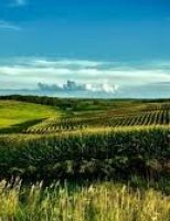 O Fundo de Investimentos em Agronegócio – Fiagro – vai facilitar a compra de fazendas com recursos de R$ 120 milhões