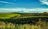 O Fundo de Investimentos em Agronegócio – Fiagro – vai facilitar a compra de fazendas com recursos de R$ 120 milhões