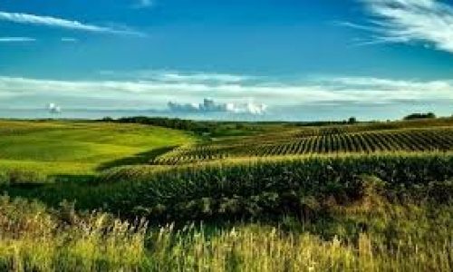 O Fundo de Investimentos em Agronegócio – Fiagro – vai facilitar a compra de fazendas com recursos de R$ 120 milhões