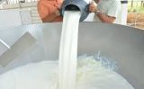 O produtor de leite pode ganhar mais oferecendo, aos laticínio, um leite livre de contaminação com bactérias
