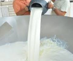 O produtor de leite pode ganhar mais oferecendo, aos laticínio, um leite livre de contaminação com bactérias