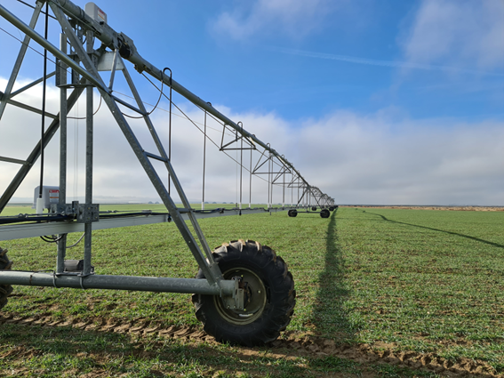 Nova regra flexibiliza o horário para irrigação exige planejamento do produtor rural