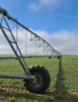 Nova regra flexibiliza o horário para irrigação exige planejamento do produtor rural