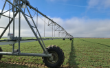 Nova regra flexibiliza o horário para irrigação exige planejamento do produtor rural