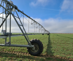 Nova regra flexibiliza o horário para irrigação exige planejamento do produtor rural