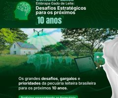 O pecuarista pode responder, aqui, as perguntas e dar sua opinião sobre o setor leiteiro do Brasil