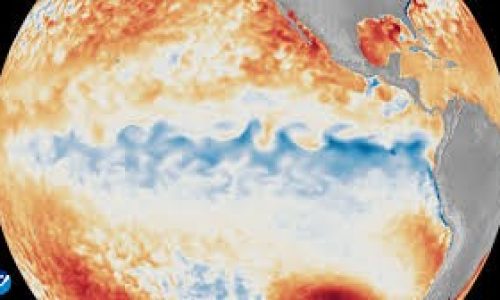 Novos relatórios sobre El Niño forte apontam riscos e prejuízos para as plantações de soja, milho e café no Brasil