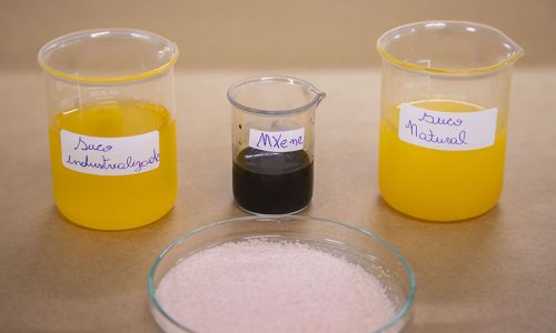 Equipamento vai identificar quantidade de vitamina C nos alimentos em segundos