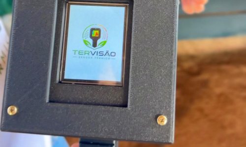Estudantes brasileiros criam um termógrafo para bovinos