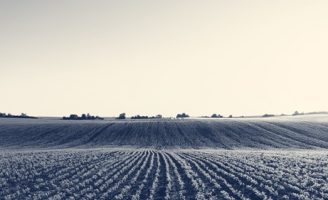 IA vai ajudar as Cooperativas do agro na gestão jurídica e contábil garantindo economia nos gastos