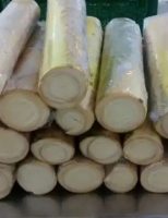 O controle biológico pode reduzir o uso de fungicidas químicos nas plantações de pupunha