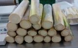 O controle biológico pode reduzir o uso de fungicidas químicos nas plantações de pupunha