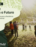 Entidades lideradas por mulheres do campo vão poder ter acesso a recursos de mais de R$ 2 milhões