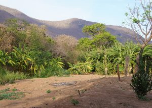 A Embrapa mostra ao mundo as Soluções do Semiárido brasileiro para combater a desertificação