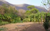 A Embrapa mostra ao mundo as Soluções do Semiárido brasileiro para combater a desertificação