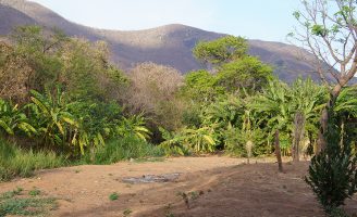 A Embrapa mostra ao mundo as Soluções do Semiárido brasileiro para combater a desertificação