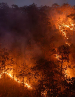 Risco de queimadas alerta para a segurança no campo