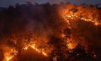 Risco de queimadas alerta para a segurança no campo