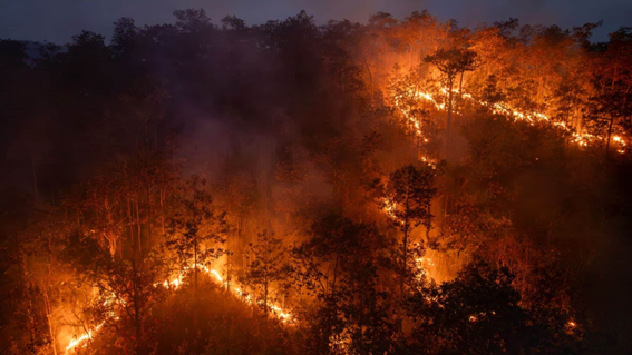 Risco de queimadas alerta para a segurança no campo