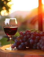 Vinícolas de 10 estados brasileiros e do Distrito Federal participam da 34ª Avaliação Nacional do Vinho