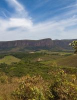 Um projeto especial vai promover melhoria de renda e conservação ambiental no Cerrado Brasileiro