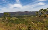 Um projeto especial vai promover melhoria de renda e conservação ambiental no Cerrado Brasileiro