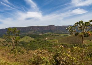 Um projeto especial vai promover melhoria de renda e conservação ambiental no Cerrado Brasileiro