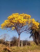 A Primavera é um ótimo período para agendamento de viagens e passeios para desfrutar as paisagens e o meio ambiente natural