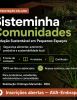 Curso gratuito e on-line vai ensinar sobre produção sustentável em pequenos espaços