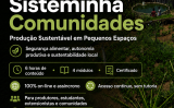 Curso gratuito e on-line vai ensinar sobre produção sustentável em pequenos espaços